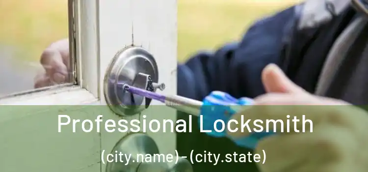 Professional Locksmith (city.name) - (city.state)